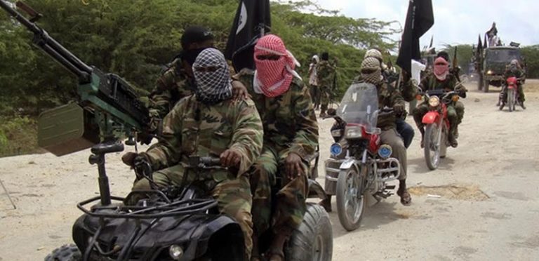 20 feared dead as suspected insurgents attack Borno community