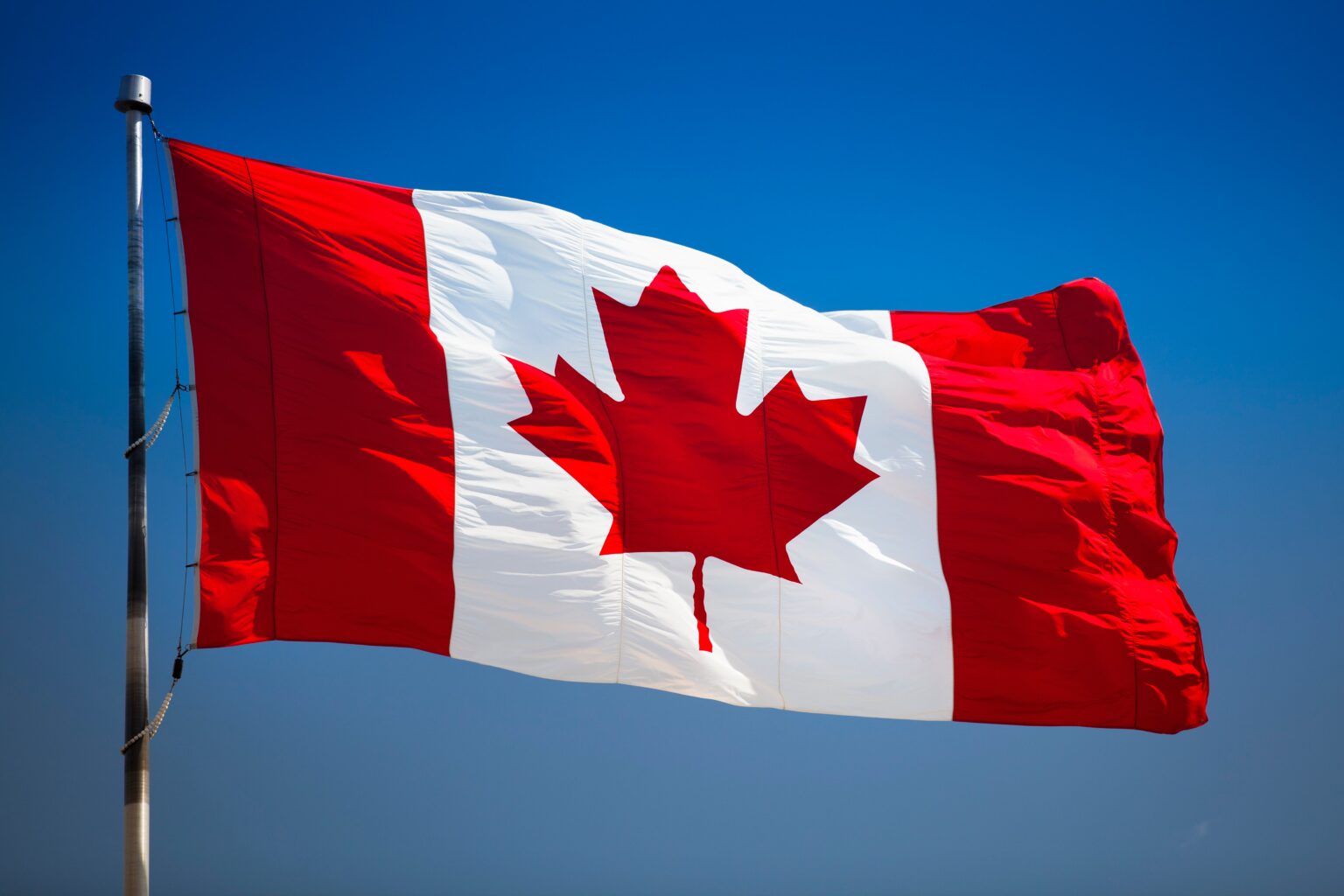 Nigerian fined in Canada over undeclared 40kg meat at airport